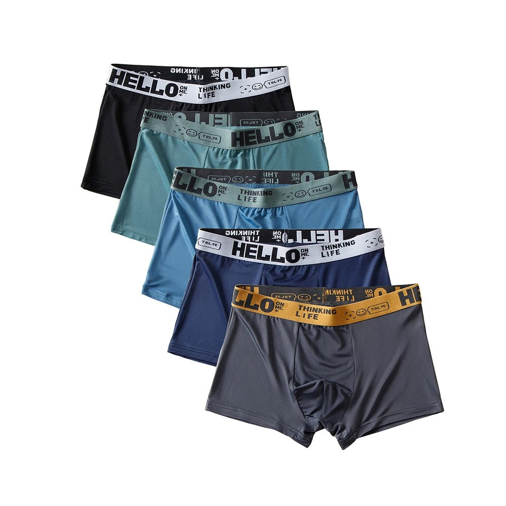 5-Pack Men’s Ice Silk Breathable Boxer Underwear Shorts